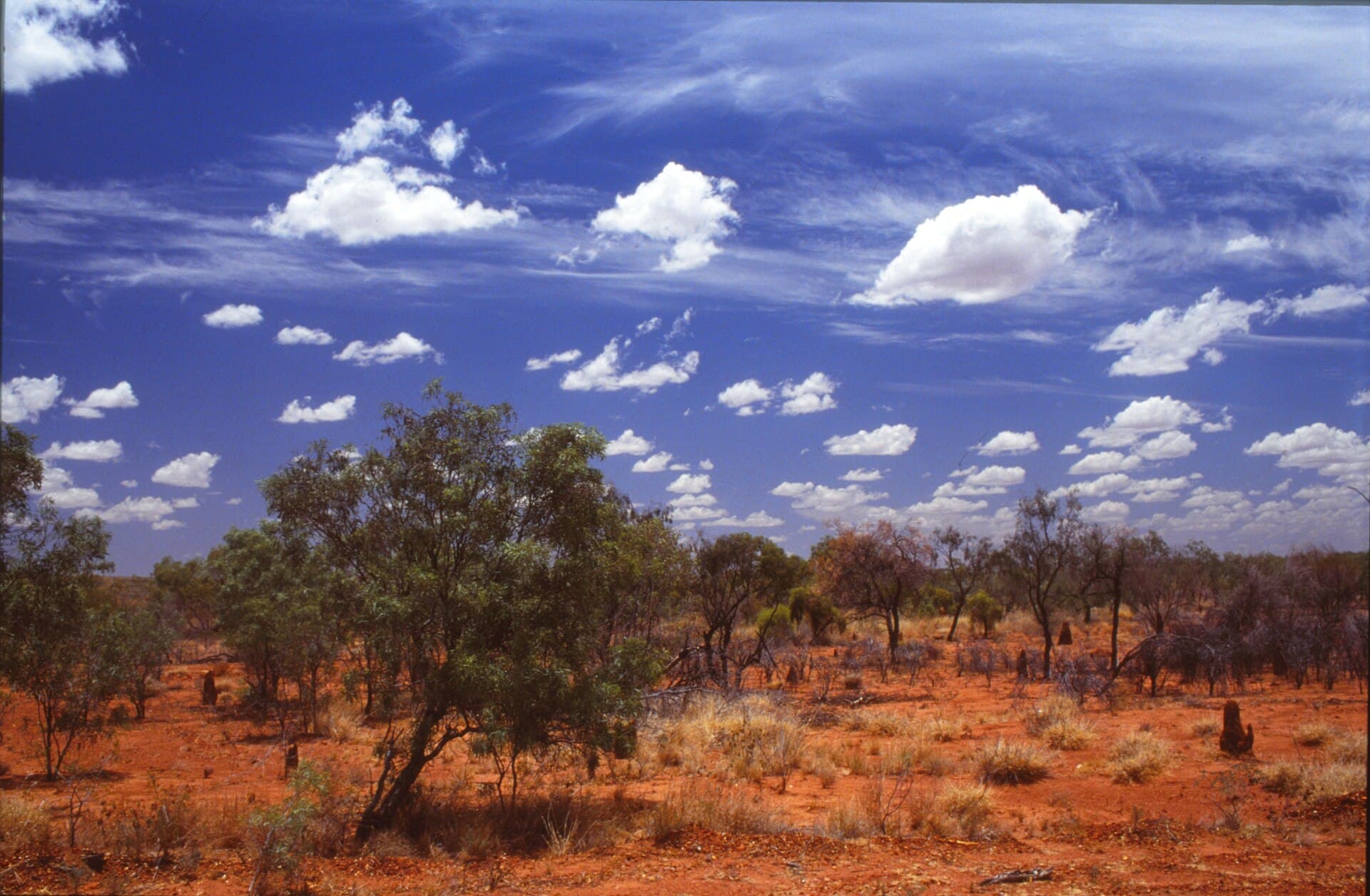 The Northern Territory outback