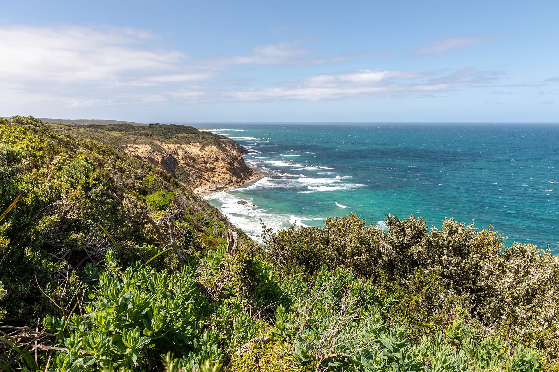 The coast at Cape Otway