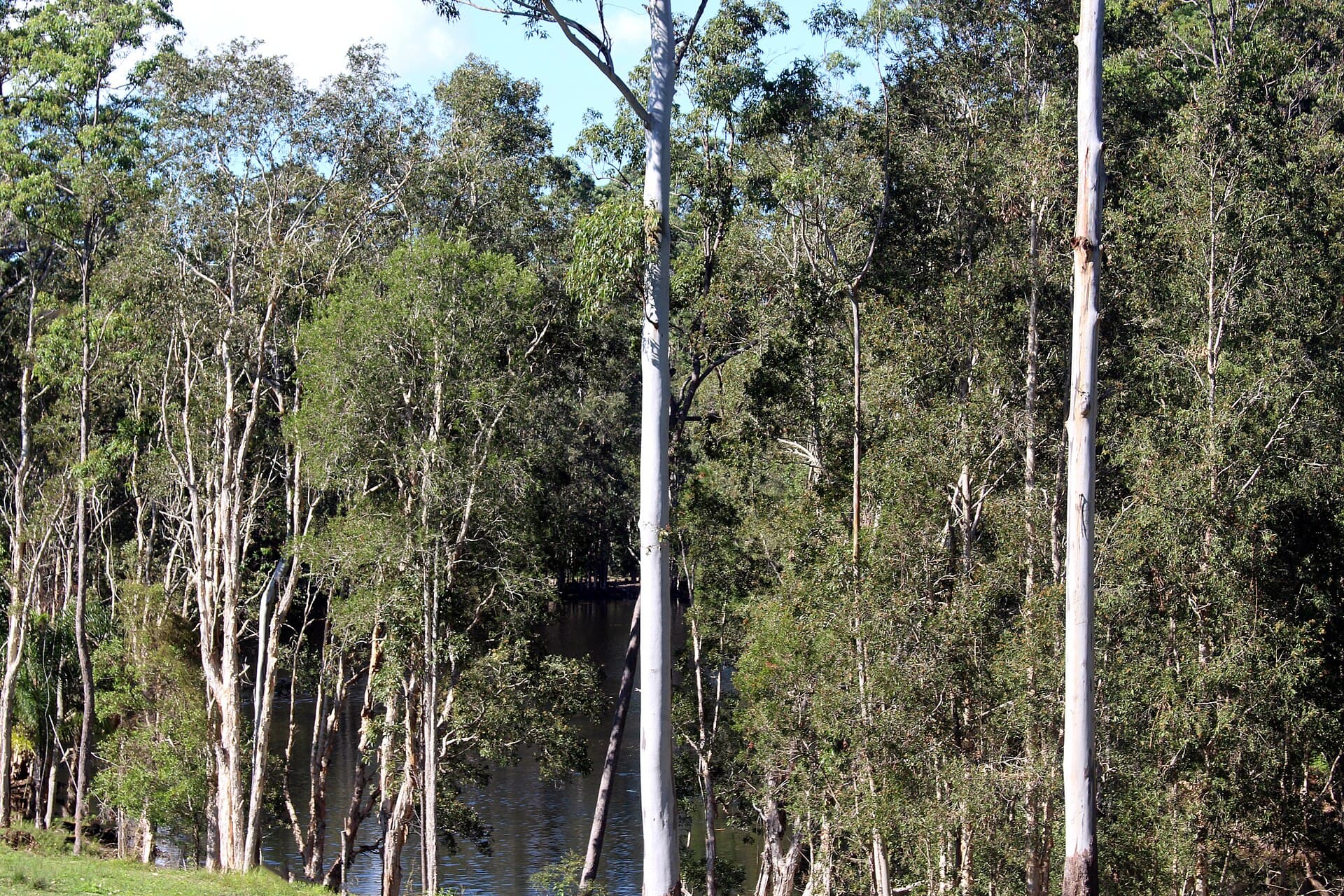 Eudlo Creek, Sunshine Coast
